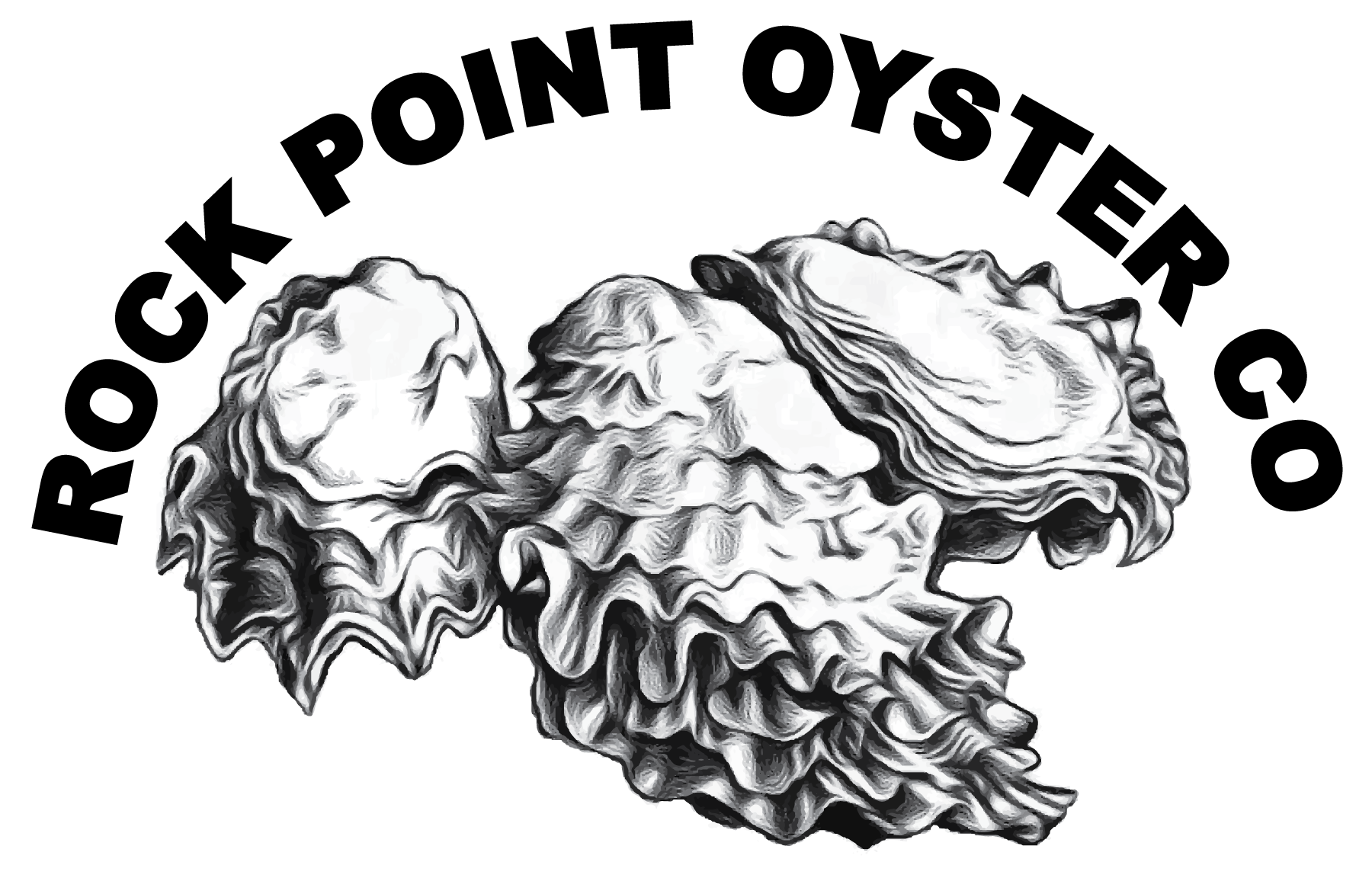 Oyster Tumbler