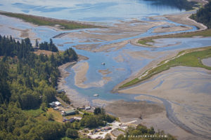 Tarboo Bay farm