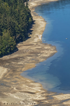 Rock Point Broad Spit farm