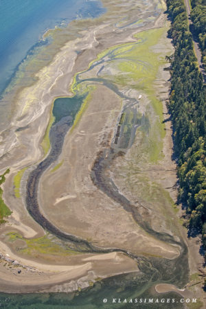 Case Shoal farm